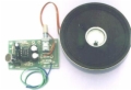 Two Station Intercom/Hard Wire 'Bug' Kit